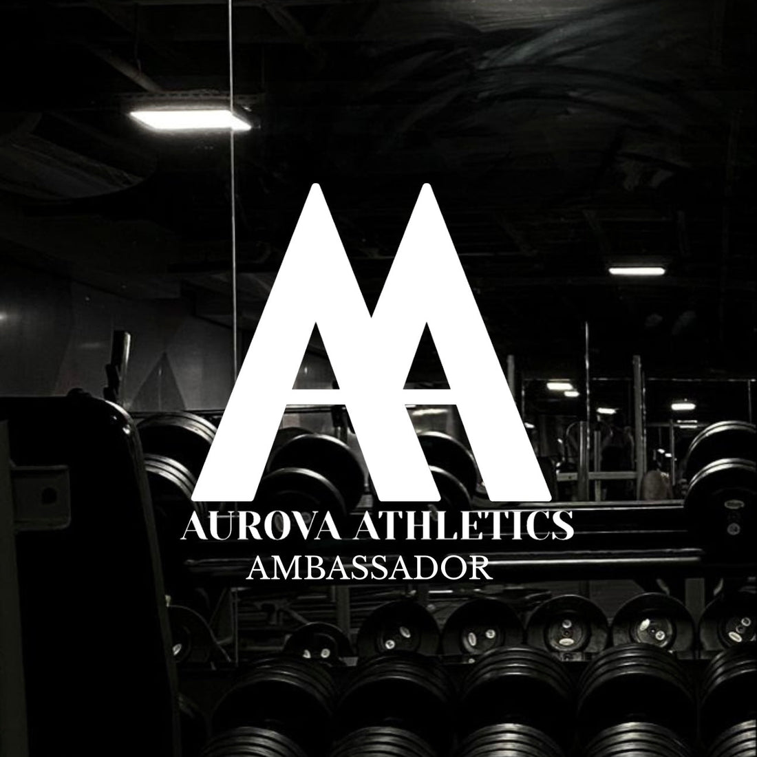 Ambassadors Wanted